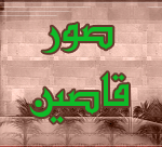 ��� �����