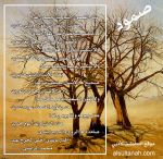 ���� ������ ���� �������