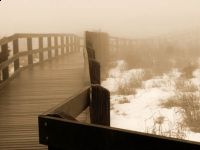 ����� ������ : ��������� ��� ������ ��������� �����