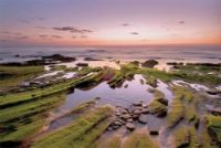 ����� ���� ������� ������ ������ ���� ���� ������