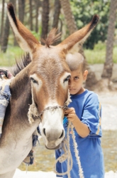 ���� ������ �������� ��� ������� ������ ������ ������� ��� ��������