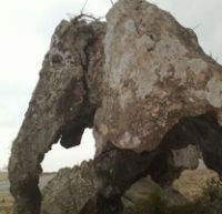 ������ ���� ������� ���� ���������