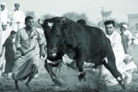 \"������\" ���� ���� �������� ������� ������ ������� ������ �� �����