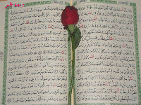 ���� �� �������� ��\"����� ������\"  ������ ����