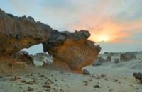 ���� ������� ������ �� ������ �� ����� ����� ��� ����