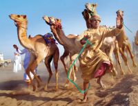 ����� ��������� ������ ������ ������� ������  