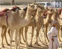 ����� : ����� ����� ��� ( ������ )